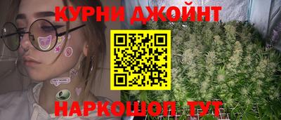 PSILOCYBIN Ярославль