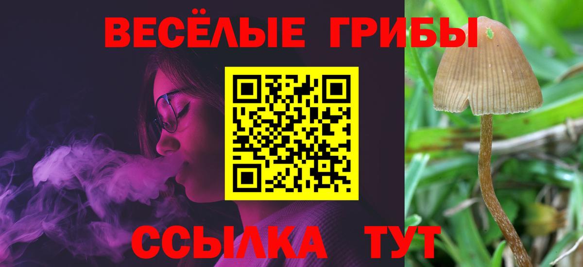 Псилоцибиновые грибы мицелий  Псилоцибиновые грибы Magic Shrooms  магазин  наркотиков  Лосино-Петровский  Вход с VPN 